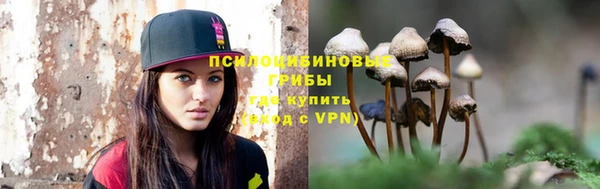 индика Касимов