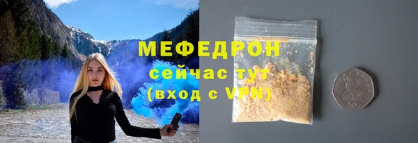 индика Касимов