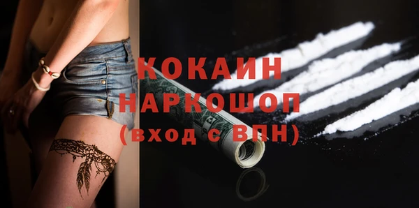 индика Касимов