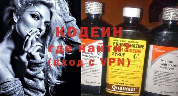 индика Касимов