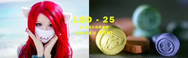 индика Касимов