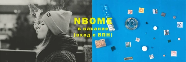 индика Касимов