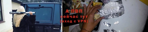 трава Карпинск
