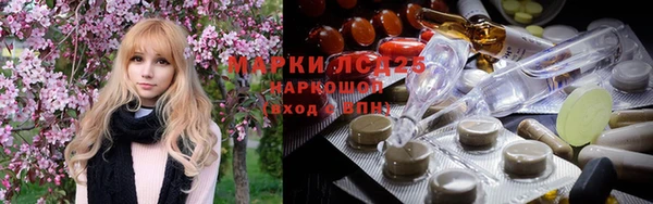 индика Касимов