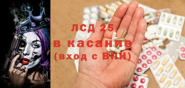индика Касимов
