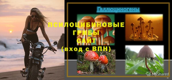 трава Карпинск